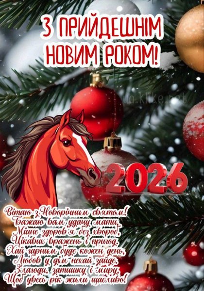 З ПРИЙДЕШНІМ НОВИМ РОКОМ !!!