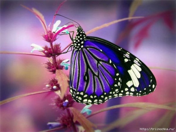 Dfee2ae4b89044fb59c9a3ae433eab16