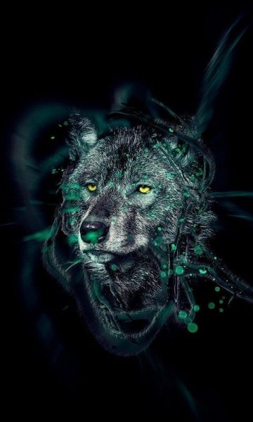 animals-480x800-01