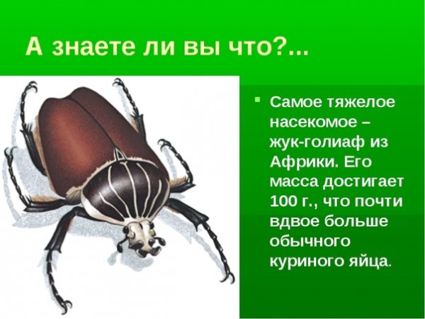 Это интересно