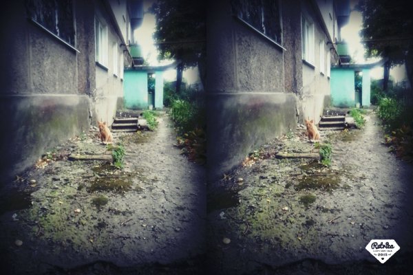 IMG-KOTE
