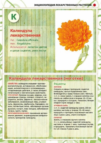 Зелёная аптека