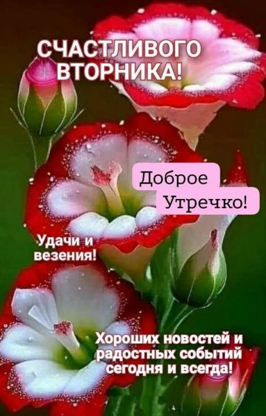 Друзья мои!