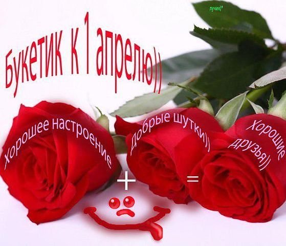 IMG 20180401 152415 35