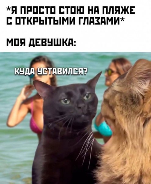 Df64b6bbbc 20002780