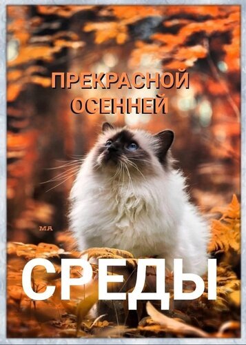 Prekrasnoj-osennej-sredy