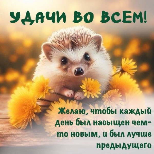 Bd5467658d4fa8bfad88a37feb124b1f