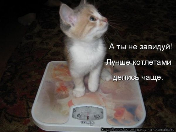 Делись чаще