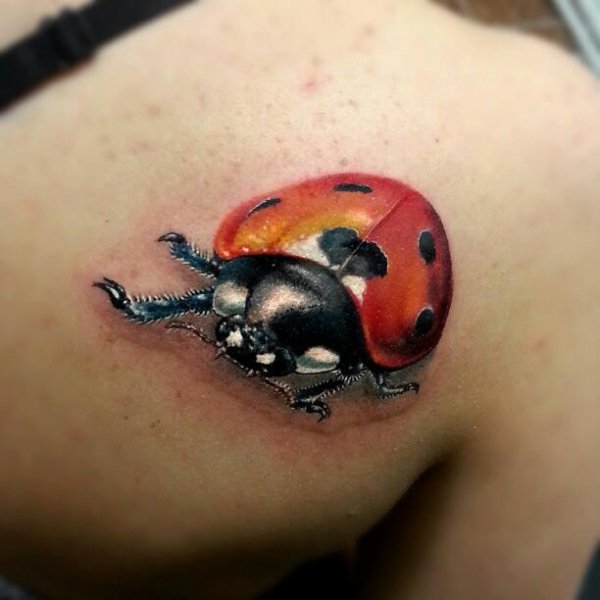 Tattoo (1160)