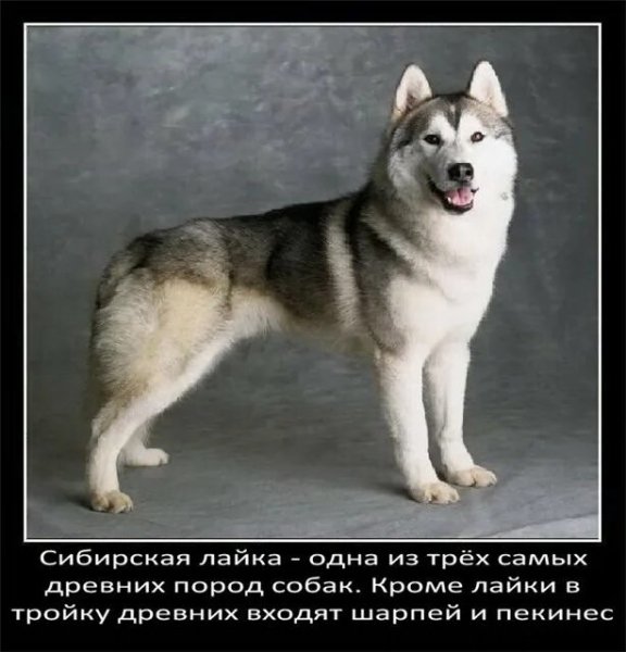 Это интересно