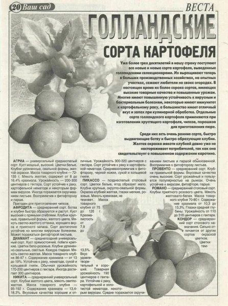 Голландские