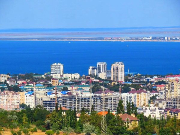 Файл #419496221