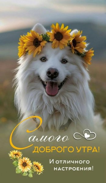 Всем вам!