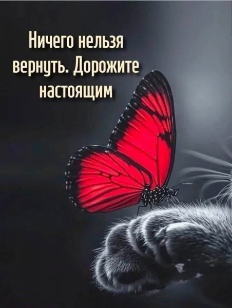 ATgeBhvkkjI2cs97OKMCMQEvK6Ef-6XRArZfL8wKIa7dH-P0IhaqsPFPCLKP