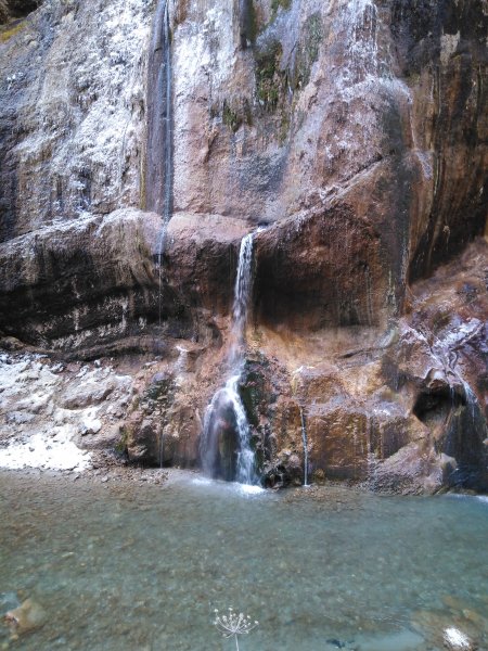 IMG 20201122 095908