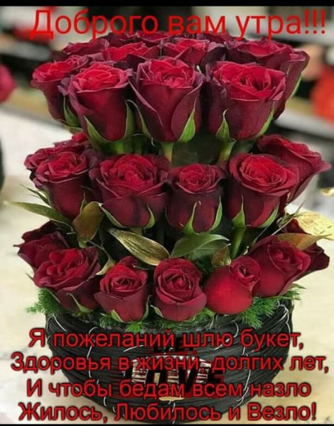 IMG-20190305-WA0061