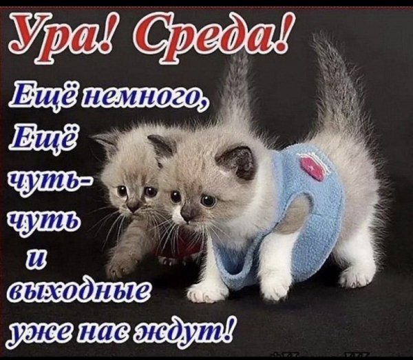 Уже нас ждут!