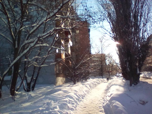 IMG 20260117 113422