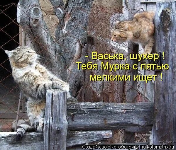 Оба - на!!!