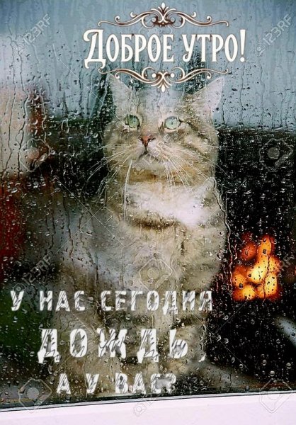 F9bb4b632871257cc3ca7c45ba48a831