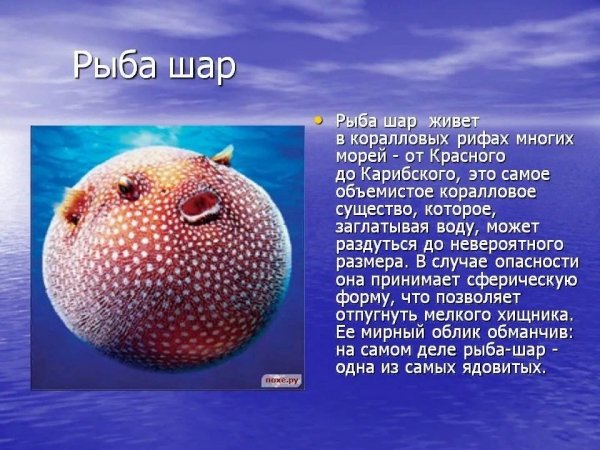 Файл #398128799