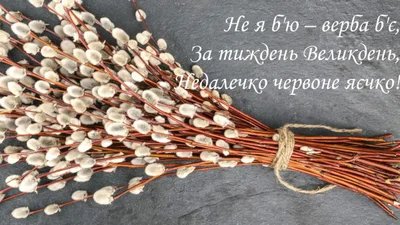 Файл #362005993