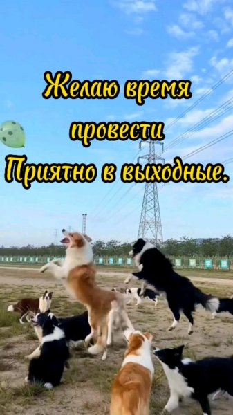 Всем вам!