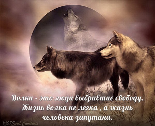 xsxuAphMXGk