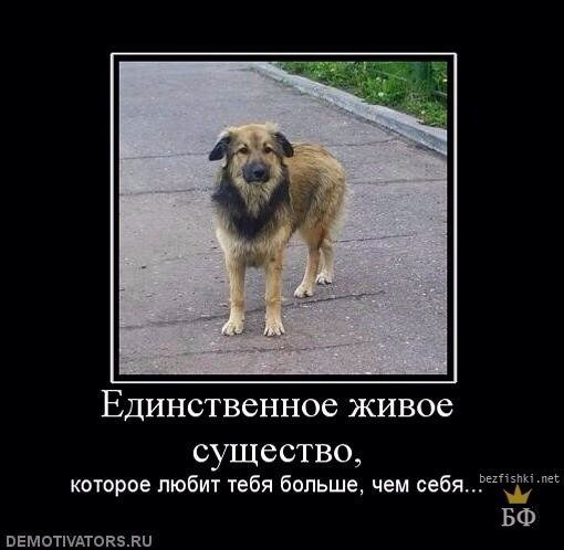 Так и есть!