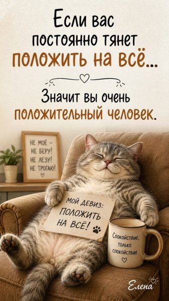63f8bed738783dc3fe3c85dcdda3aec9