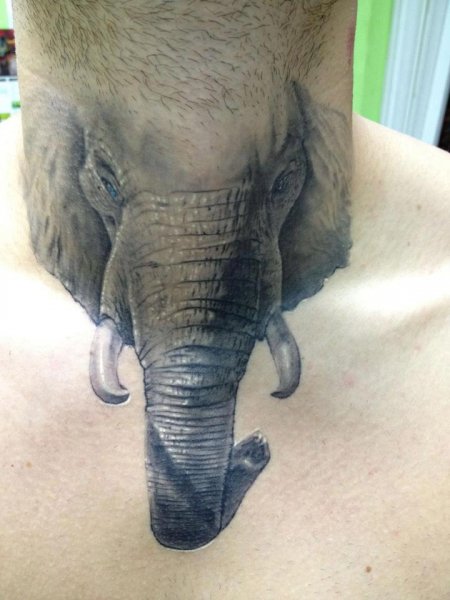 Tattoo (781)