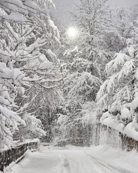 Красная Поляна, Сочи