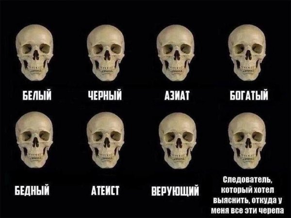 Коллекция)