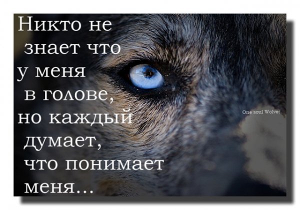 Правда
