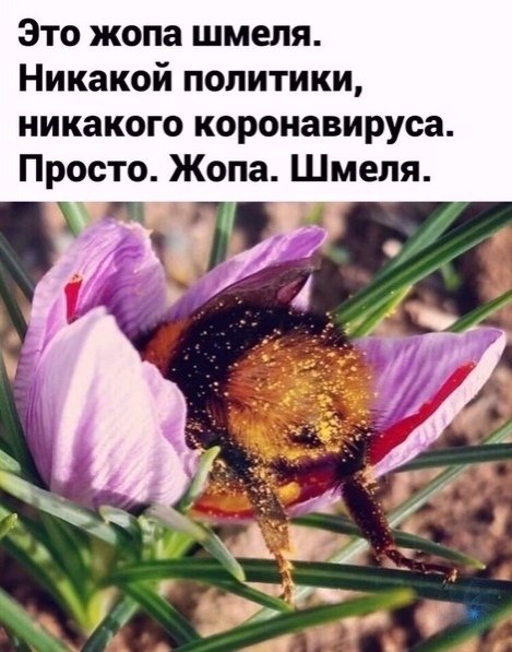 uZpVkEwn9Jg