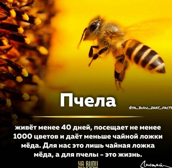 6-06-21-34-49-849