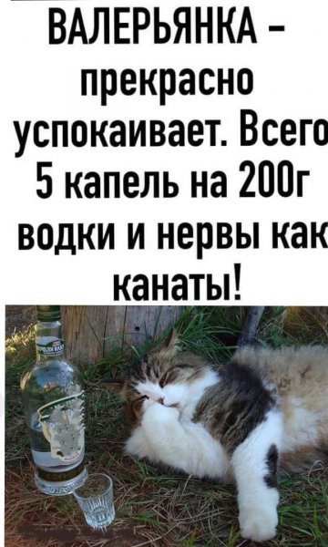 Нервы как канаты!