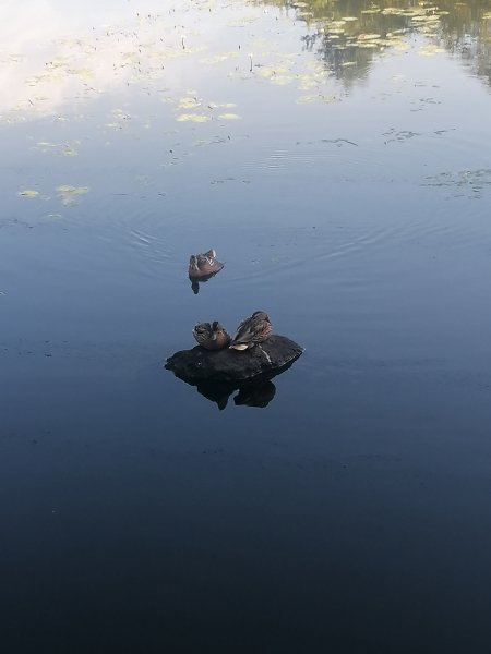 IMG 20240706 184710
