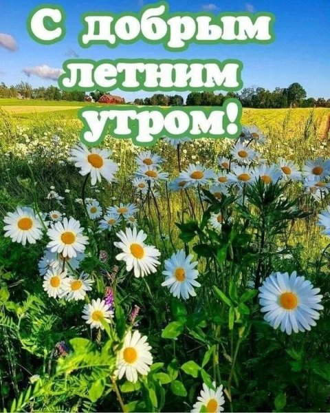 Друзья!