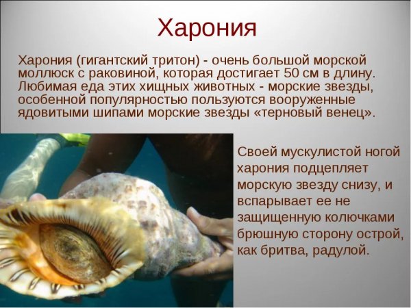 Харония