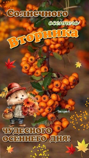 Друзья мои!