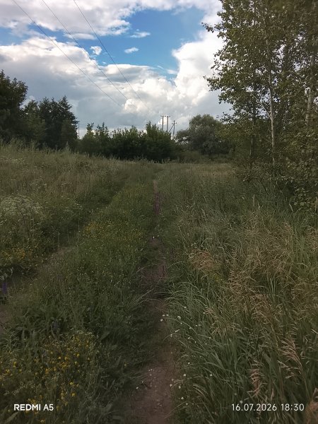 picture_419012990