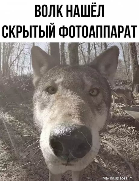 FbswRyNvV8-