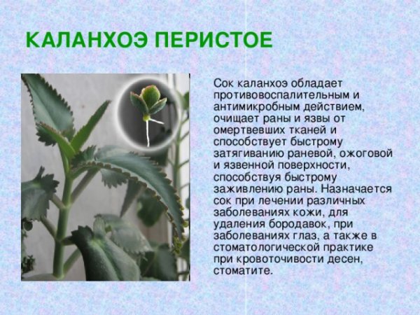 Файл #390836612