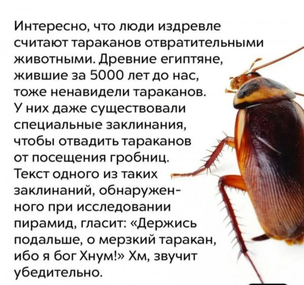 Интересно