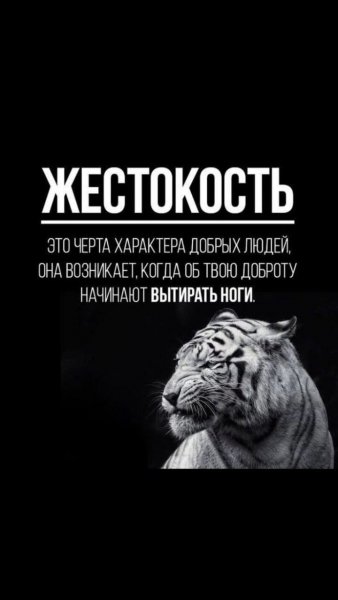 IMG-20251003-WA0102