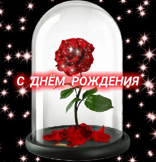 GIF 20210214 130102