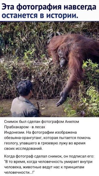 Человечность )