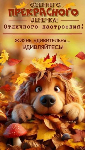 Всем вам!