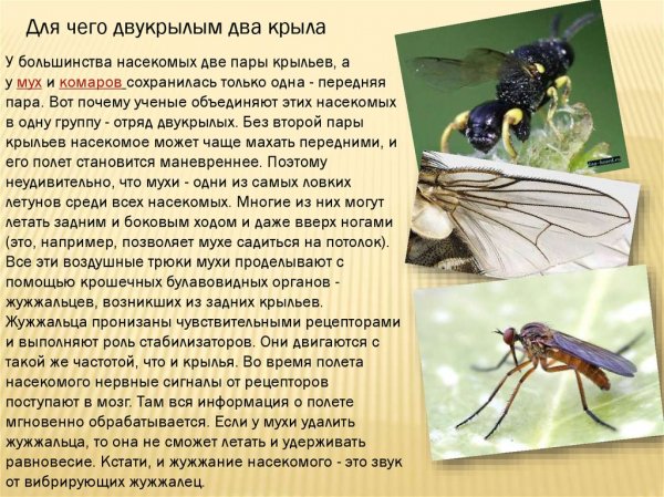 Это интересно